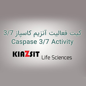 کیت فعالیت آنزیم کاسپاز caspase 3/7 Activity
