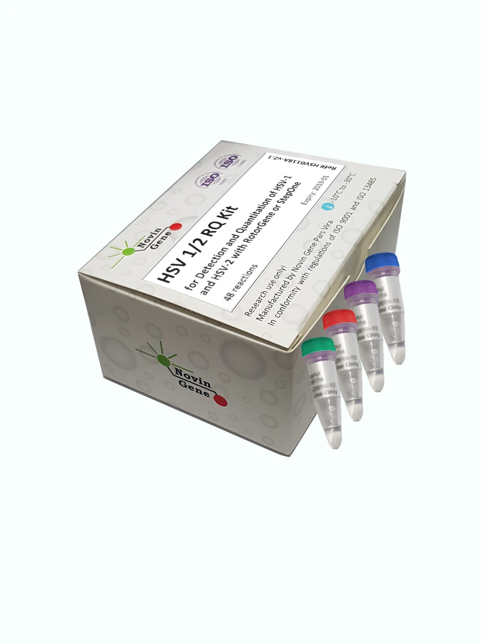 HSV 1 and 2 Detection and Quantitation kit 24rxn