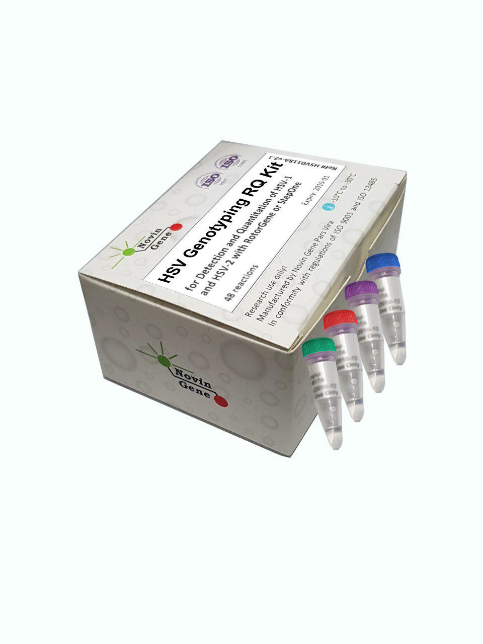 HSV 1 and 2 Detection and Genotyping kit 24rxn